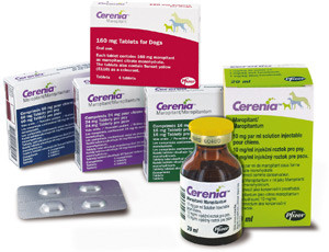 Cerenia