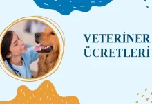 Veteriner Ücretleri