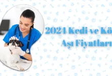 2024 Kedi ve Köpek Aşı Fiyatları