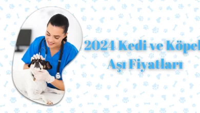2024 Kedi ve Köpek Aşı Fiyatları